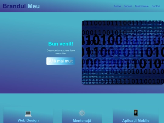 portofoliu/nr7 screenshot