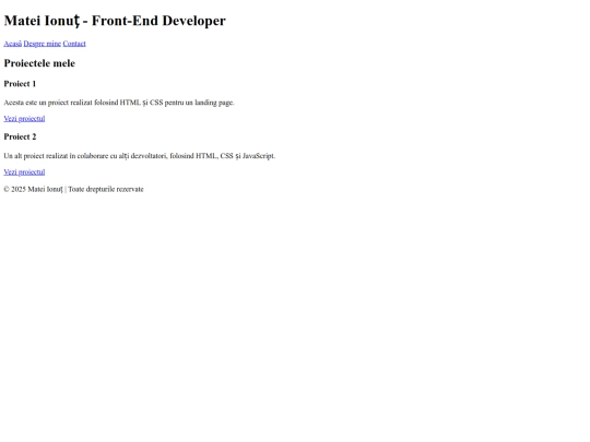 portofoliu/project2/projects screenshot