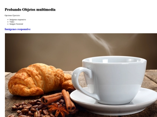 multimedia_m2_t2 screenshot