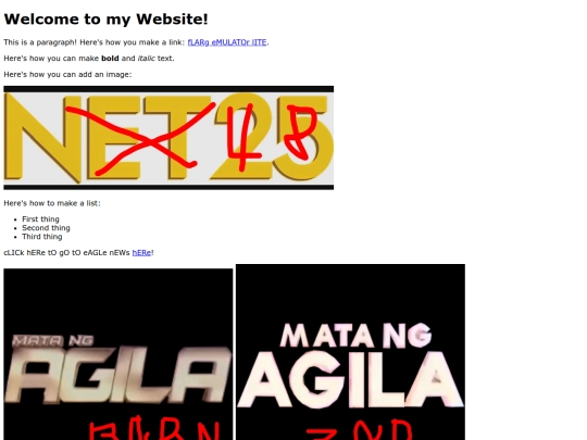 net48 screenshot