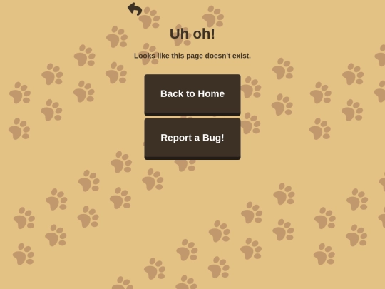 404page screenshot