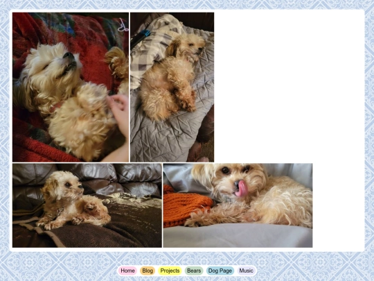 dogs screenshot