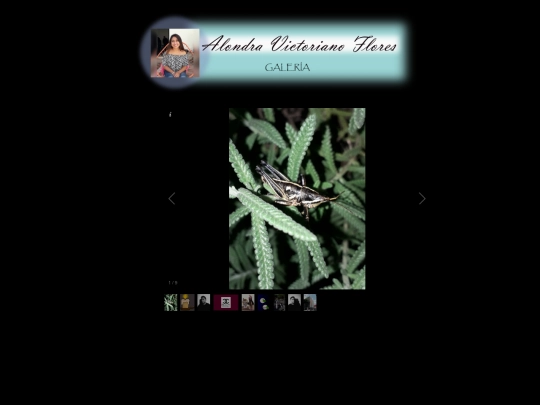 galeria screenshot