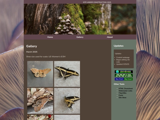 gallery screenshot
