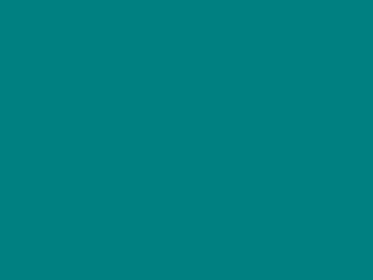 client screenshot