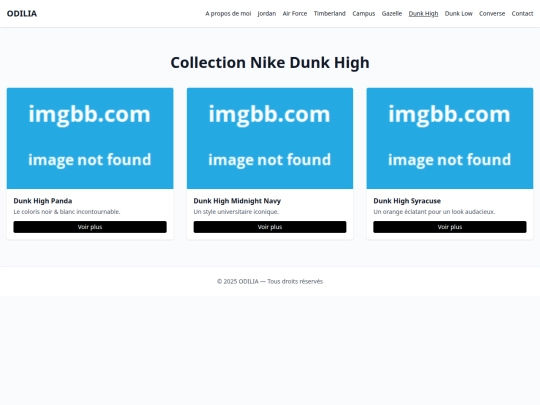 dunk-high screenshot