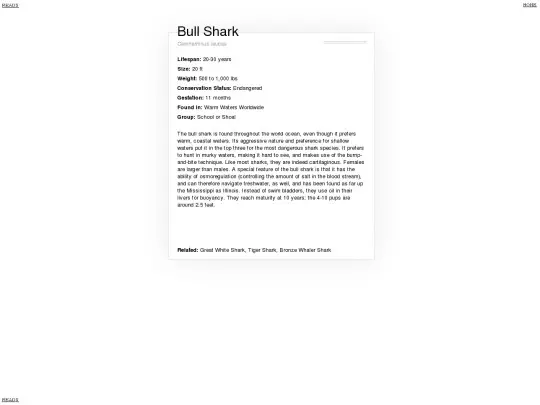 species/bull+shark/bullshark screenshot