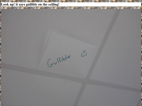 pages/gullible screenshot