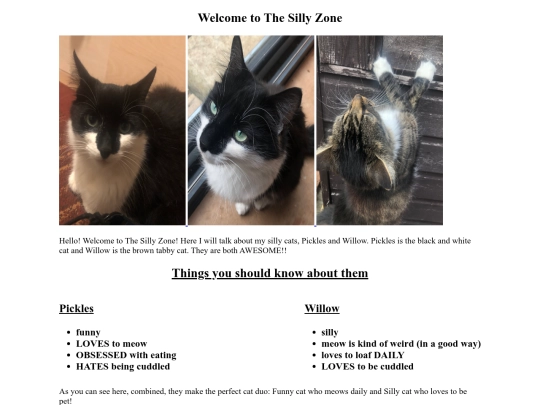 TheSillyZone screenshot