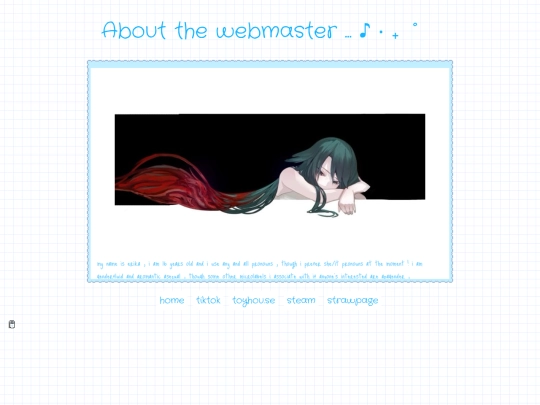webmaster screenshot