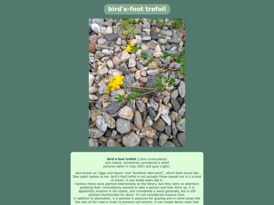 birdsfoottrefoil screenshot