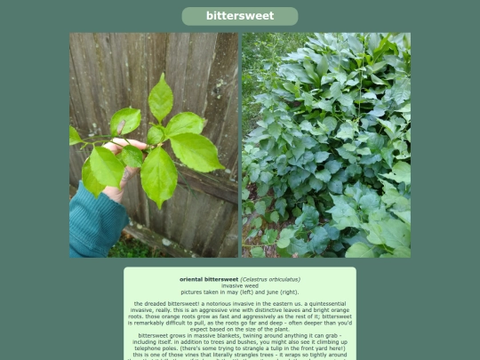 bittersweet screenshot