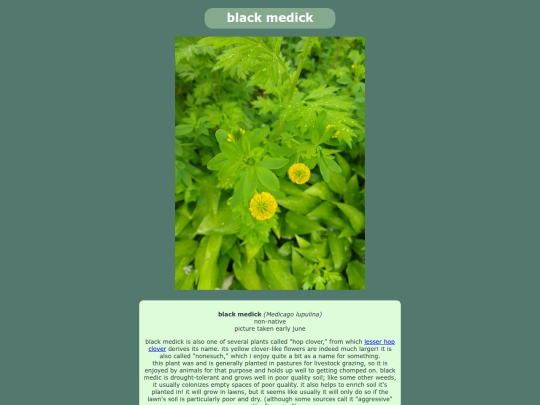blackmedick screenshot