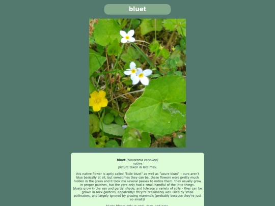 bluet screenshot