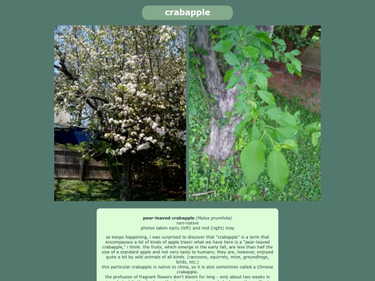 crabapple screenshot