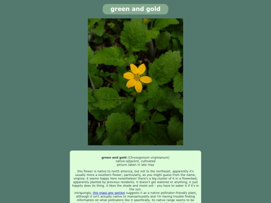greenandgold screenshot