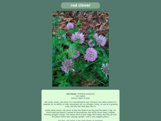 redclover screenshot