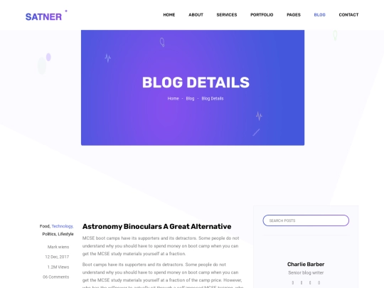 single-blog screenshot