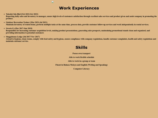 workhistoryandskills screenshot