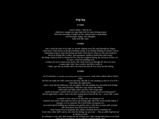 trip-log screenshot