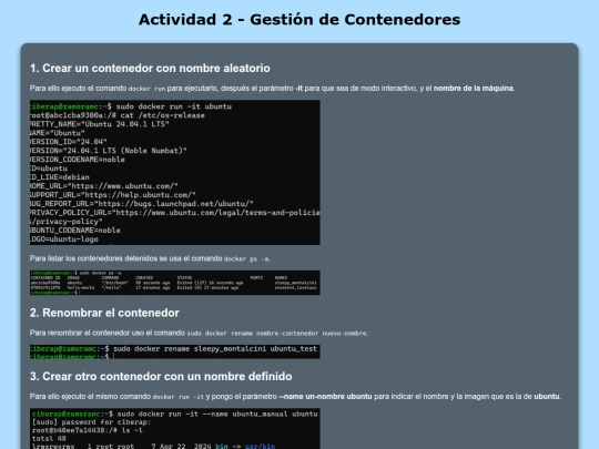 docker/act2 screenshot