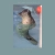 itripley.neocities.org avatar