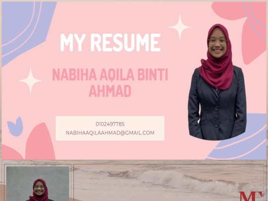my resume/MYRESUME screenshot