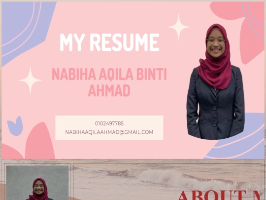 my resume/home screenshot