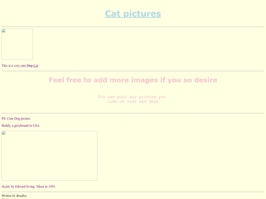FAKE website screenshot