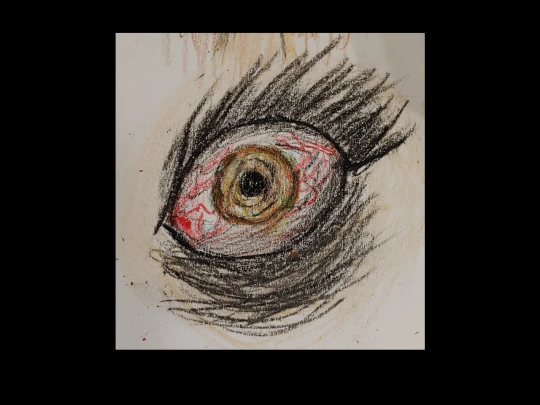 secret/puzzle/eye screenshot