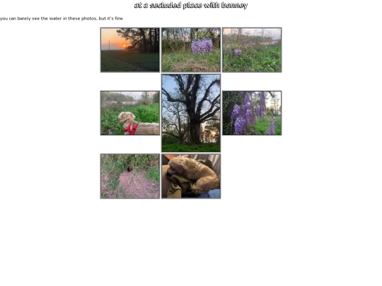 chimera/journal/photos/1 screenshot