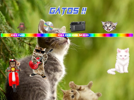 cats screenshot
