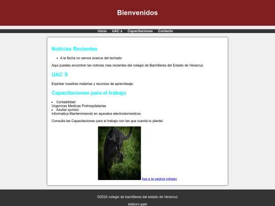 proyecto html204 screenshot