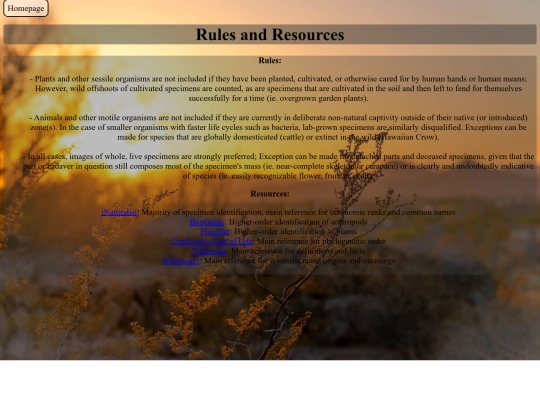 Topbar/Rules-and-resources screenshot