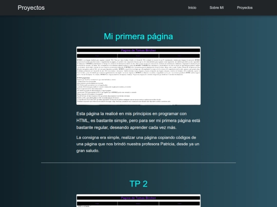 Proyectos screenshot