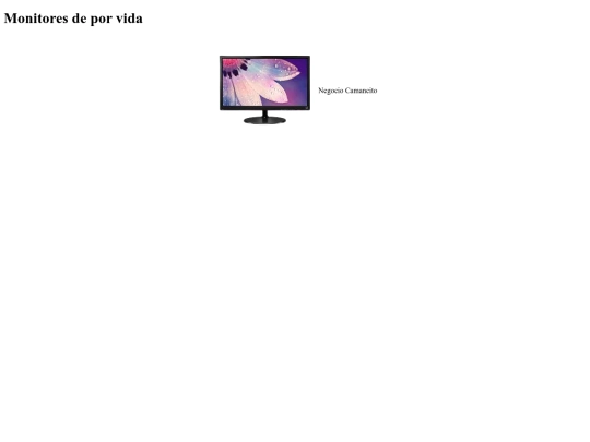 Exámen_CAMAN_OCAMPO_PEDRO/Páginas/Monitores screenshot