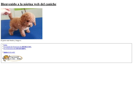carpetaauxiliar/ejercicios/caniche screenshot