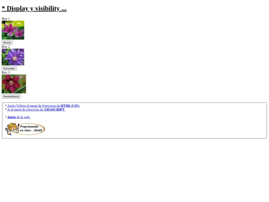 carpetaauxiliar/ejercicios/displayyvisibility screenshot