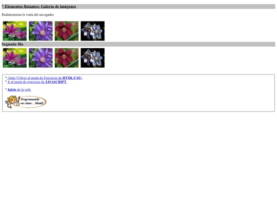 carpetaauxiliar/ejercicios/elementosflotantes screenshot