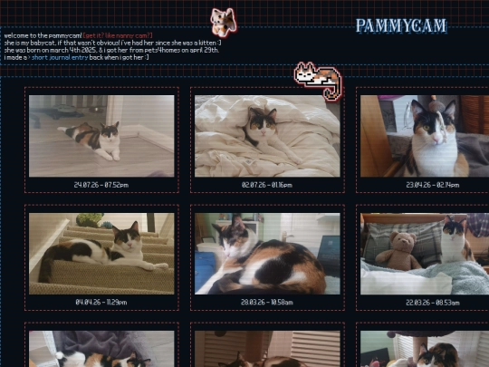 pammycam screenshot