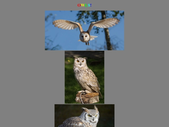 Gallery screenshot