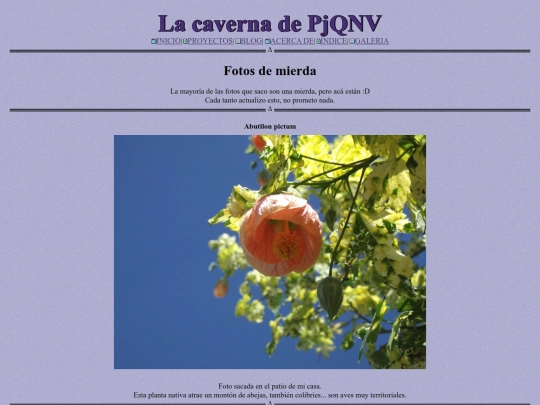galeria screenshot