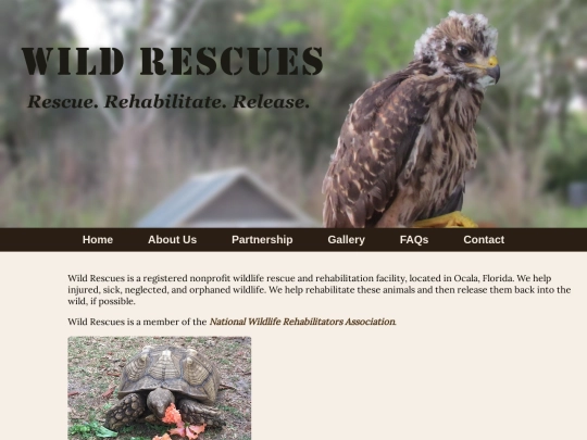 Week8/rescue/about screenshot