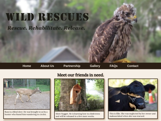 Week8/rescue/gallery screenshot