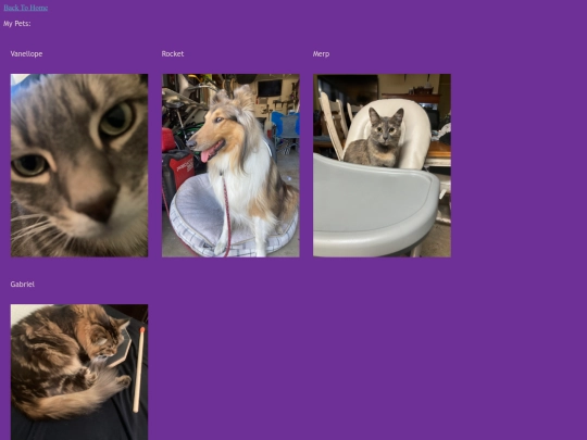 MyPets screenshot