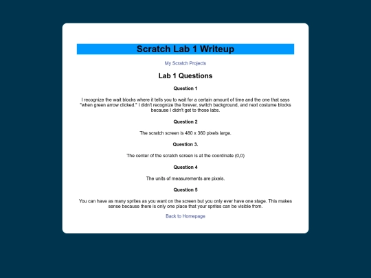 scratch/scratchwriteup1 screenshot