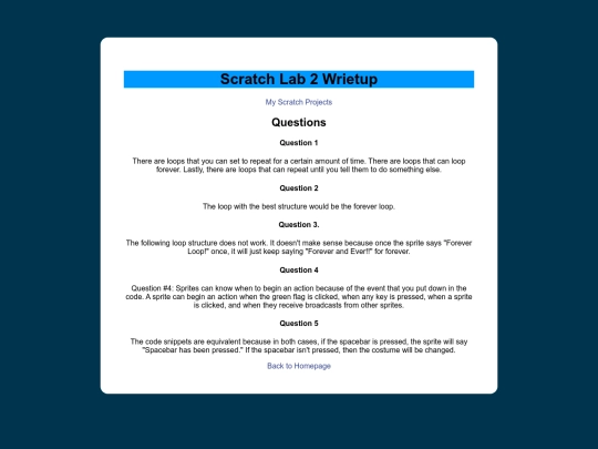 scratch/scratchwriteup2 screenshot