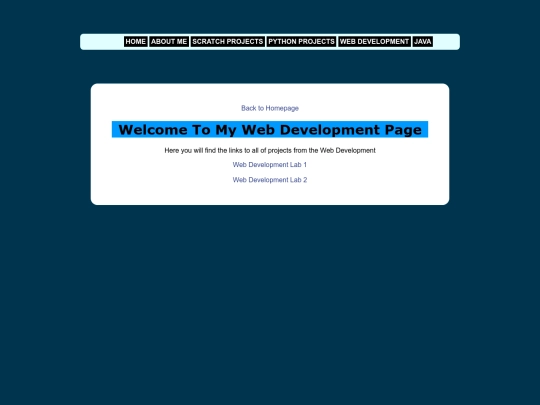 webDev/webDevindex screenshot