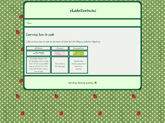 learning coding screenshot
