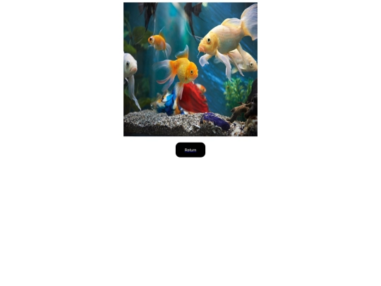 Documents/FlexiblePuzzle/FlexiblePuzzle screenshot